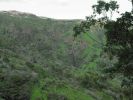 Waihe'e Ridge Trail